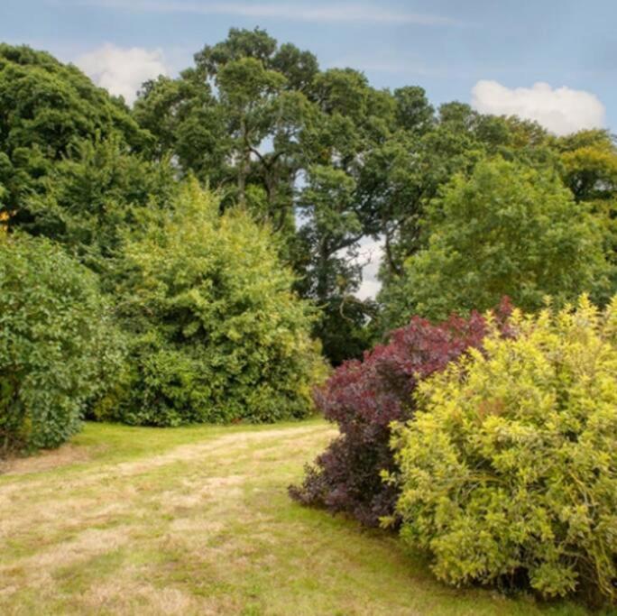 Killenard Kottage, Killenard, Laois Apartment Exterior foto